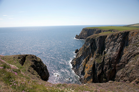 Mull of Galloway Cliffs 1_L7A9433