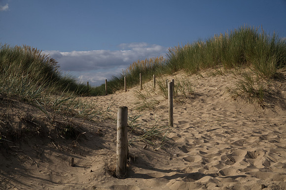 Stand Your Post In The Sand Dunes