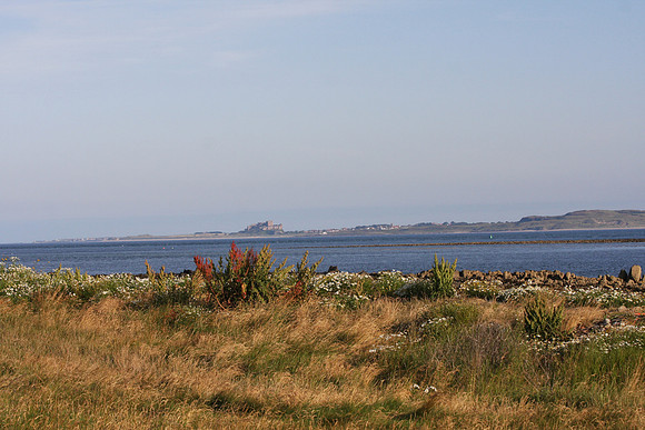 Bamburgh Castle in the distance