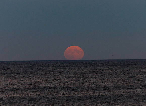 Beaver Moon Arising