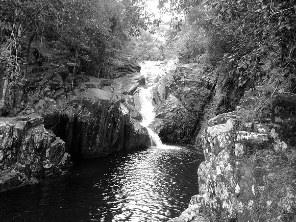 Finch hatton gorge waterfall - 1346