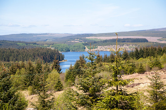 Kielder_1