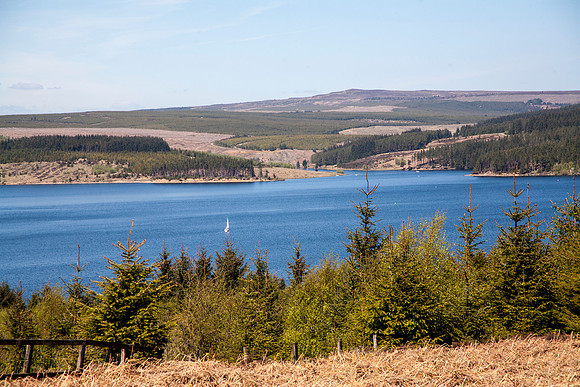 Kielder1