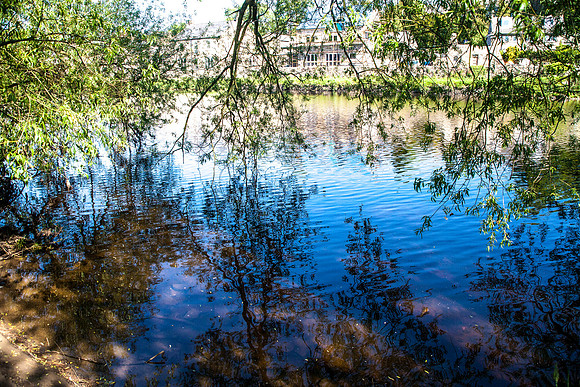 reflections