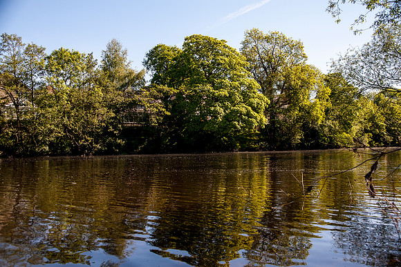 reflections1