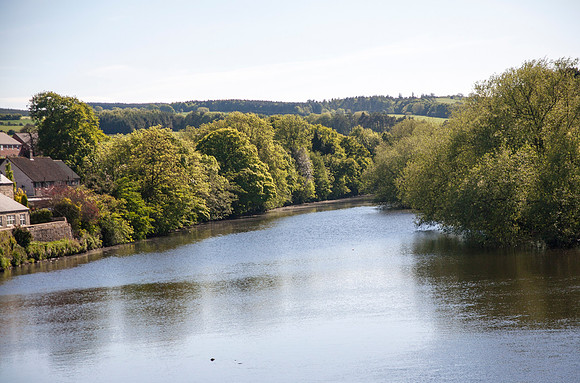reflections6