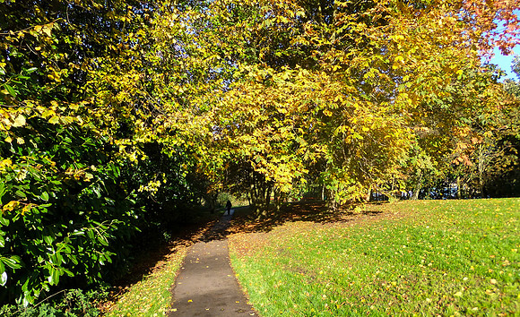 Autumn-1113