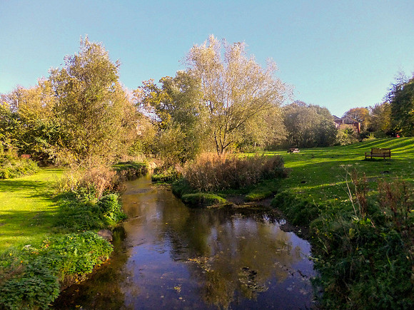 Autumn-1117