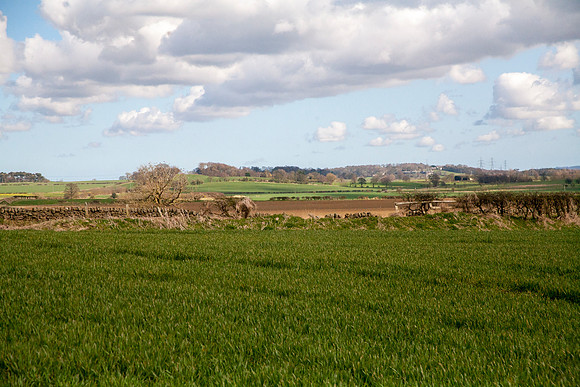 Horsley_MG_9252