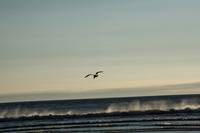 Prepare for Landing