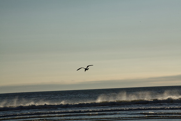Prepare for Landing